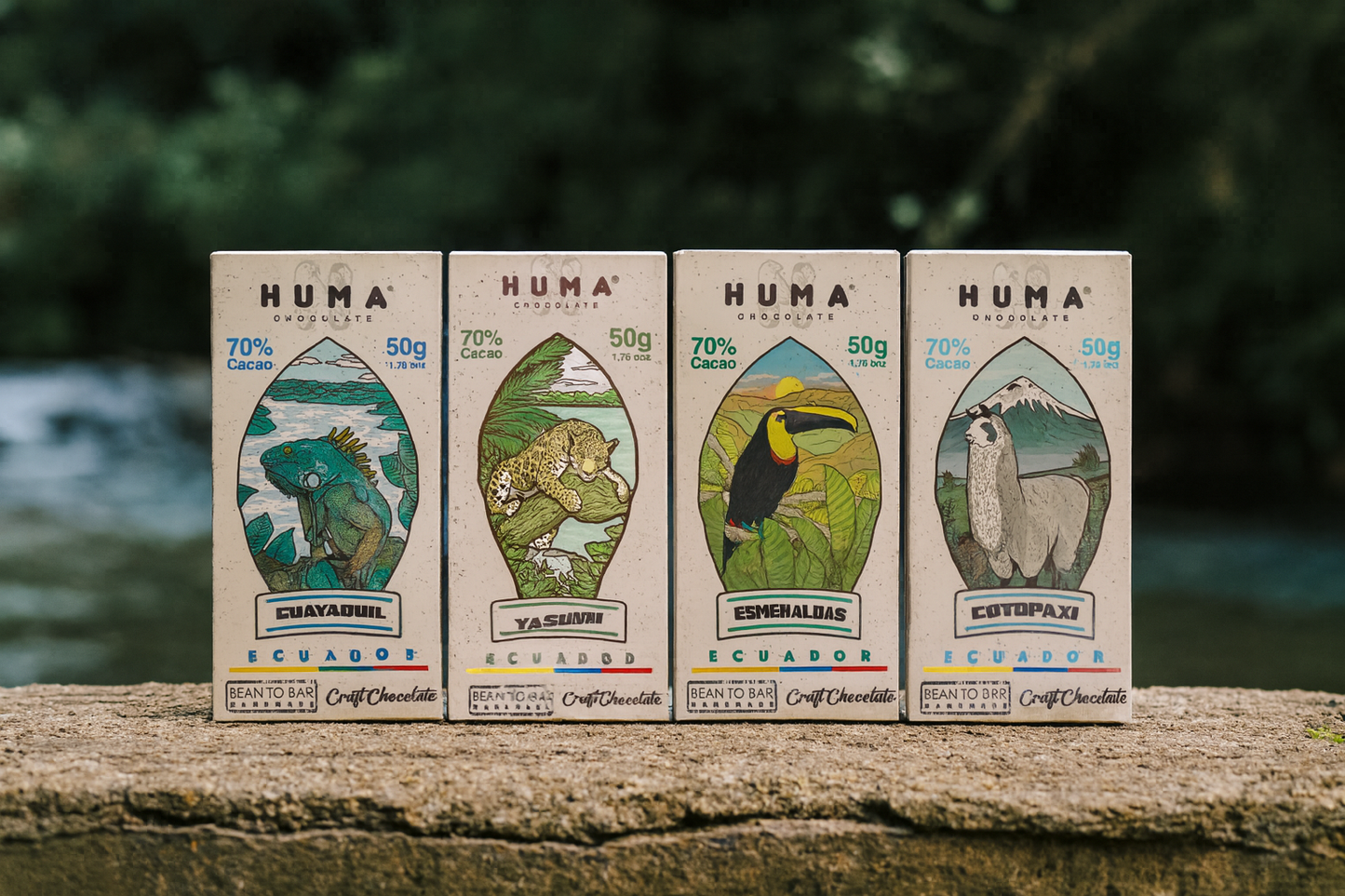 Dark Chocolates – Crafted with Arriba Nacional Cacao from Ecuador