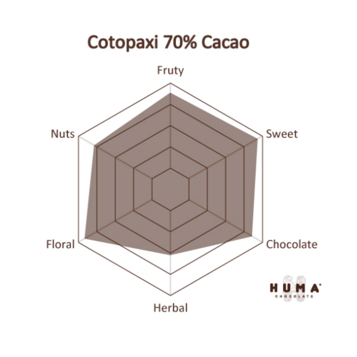 Cotopaxi 70 % Dunkle Schokolade – Blumig & Zitrus | Bean-to-Bar aus Ecuador (Vegan)