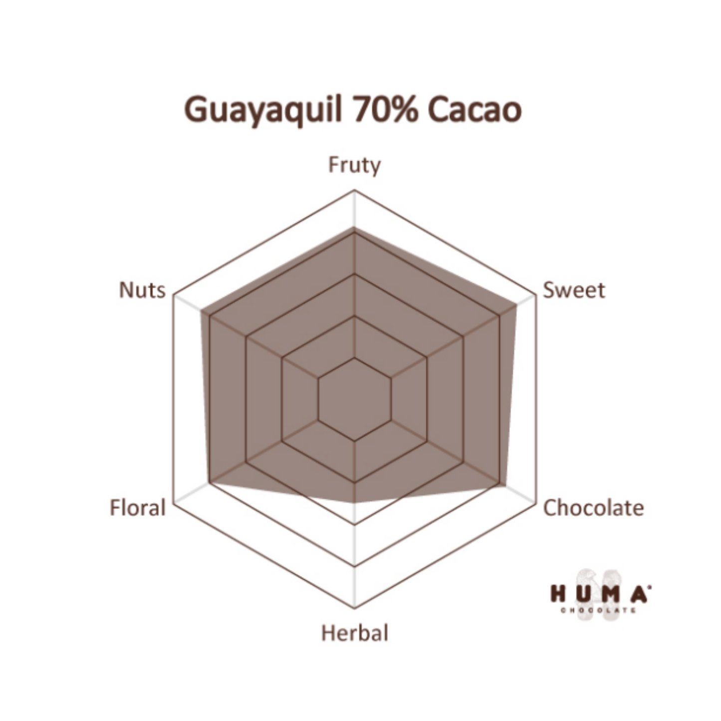 Guayaquil 70 % Dunkle Schokolade – Tropisch & Nussig | Bean-to-Bar aus Ecuador (Vegan)
