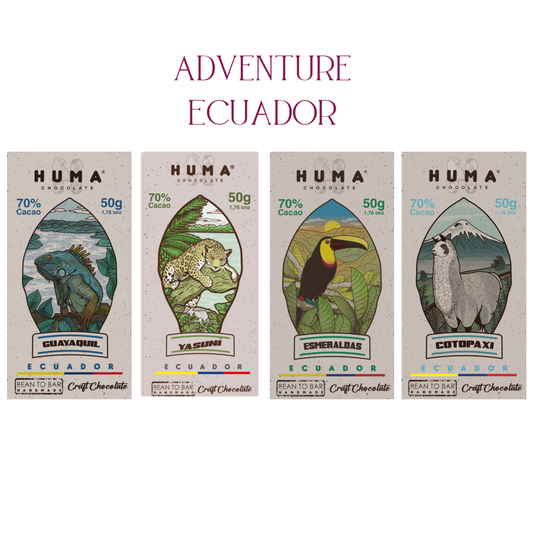 Dark Chocolates – Crafted with Arriba Nacional Cacao from Ecuador
