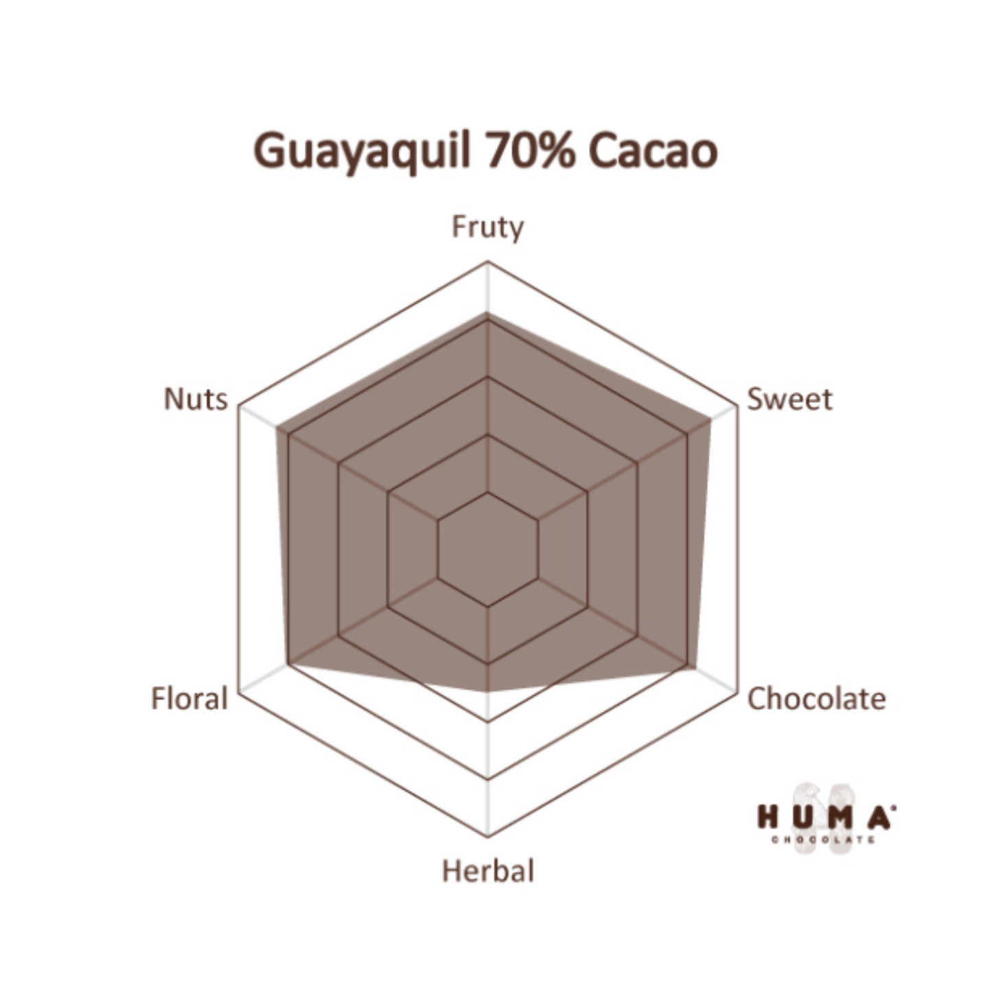 GUAYAQUIL | 70% Dark Chocolate | Premium Cocoa from Ecuador | Vegan & Bean-to-Bar